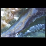 Winged Water detail 6x8 in.jpg